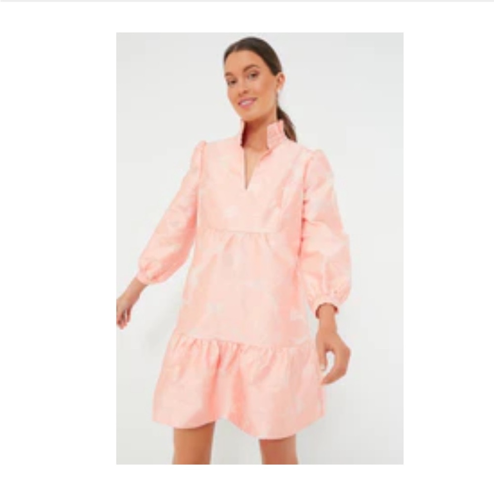 Tuckernuck- Bellini Fil Coupe Palmerston Dress